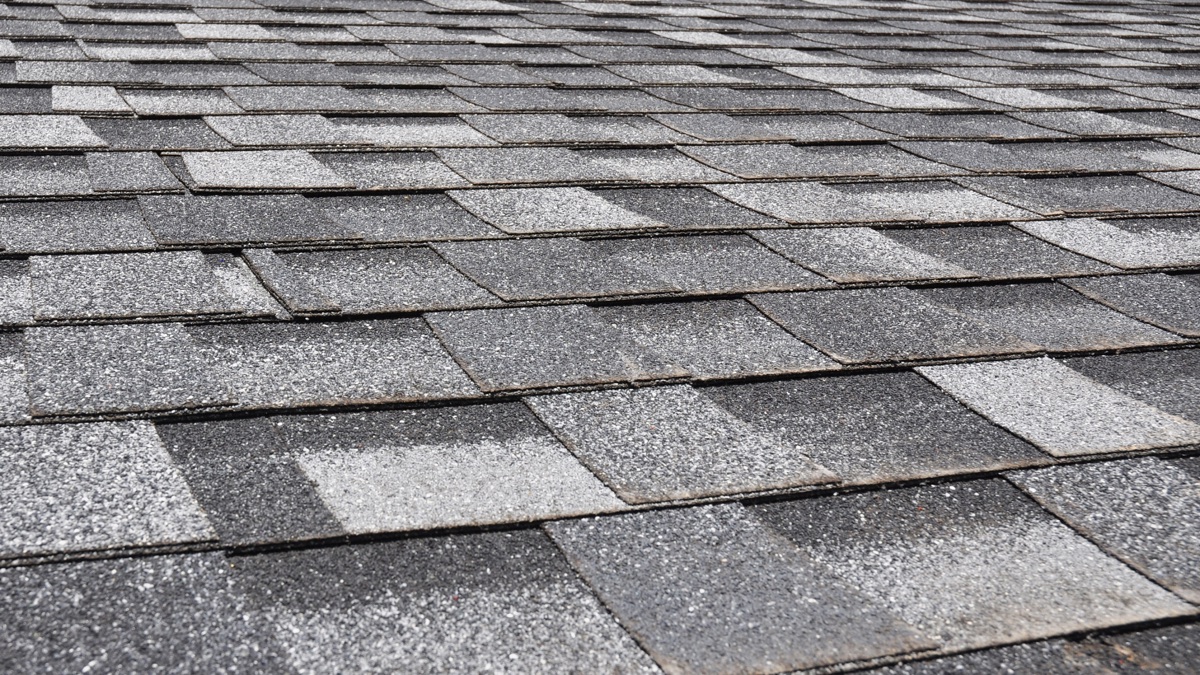 Asphalt Shingle roofing